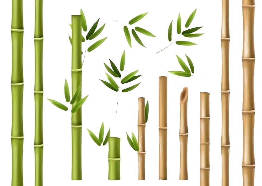 Bamboo Layer